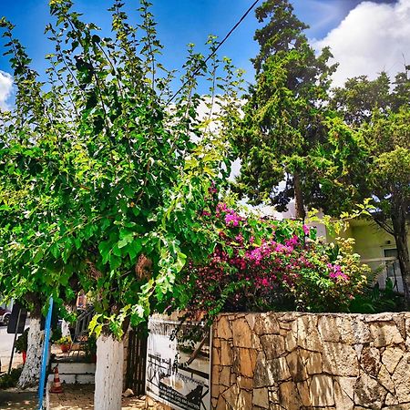 Ble Residence, Your Home Away From Home Pánormos Dış mekan fotoğraf