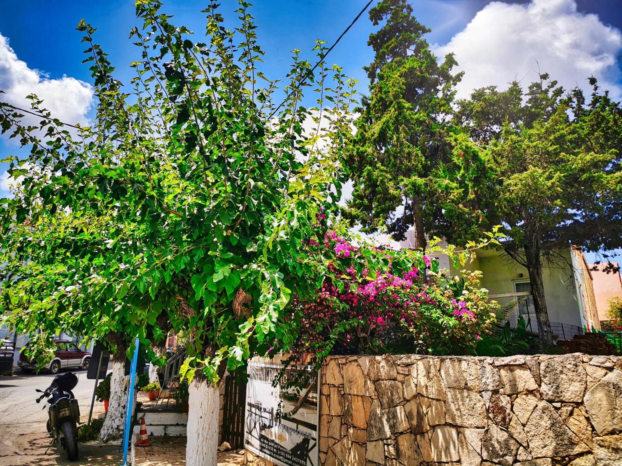 Ble Residence, Your Home Away From Home Pánormos Dış mekan fotoğraf